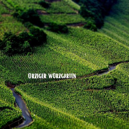 Apartment Weingut Dr Hermann I Erden Eksteriør bilde
